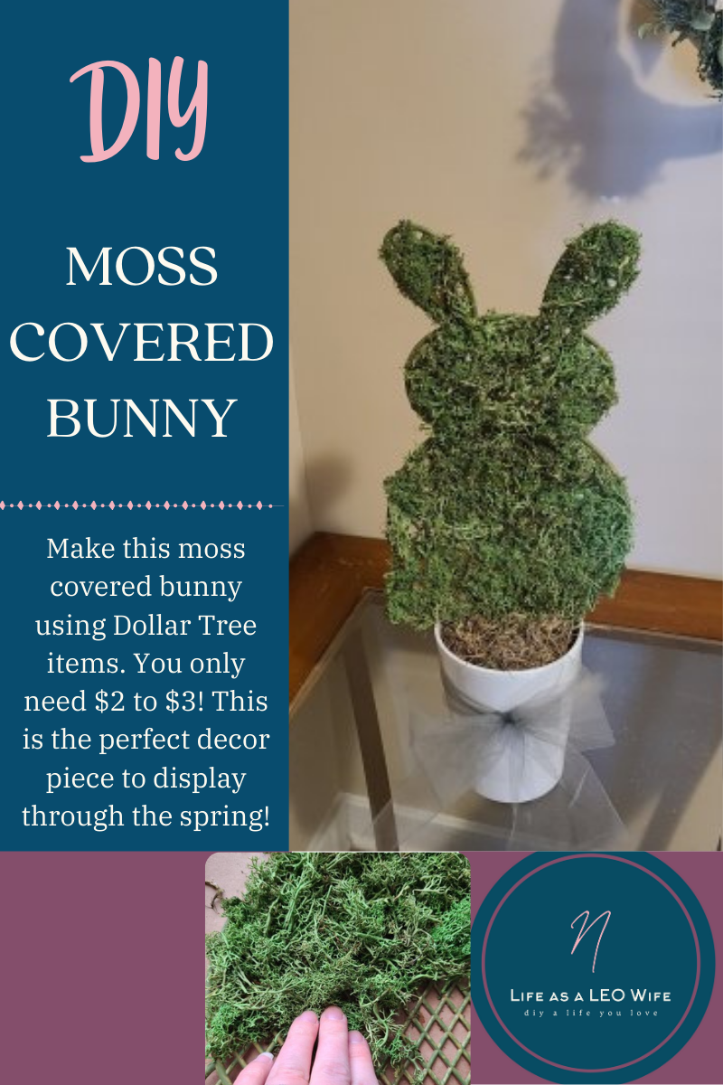 moss covered bunny featured image