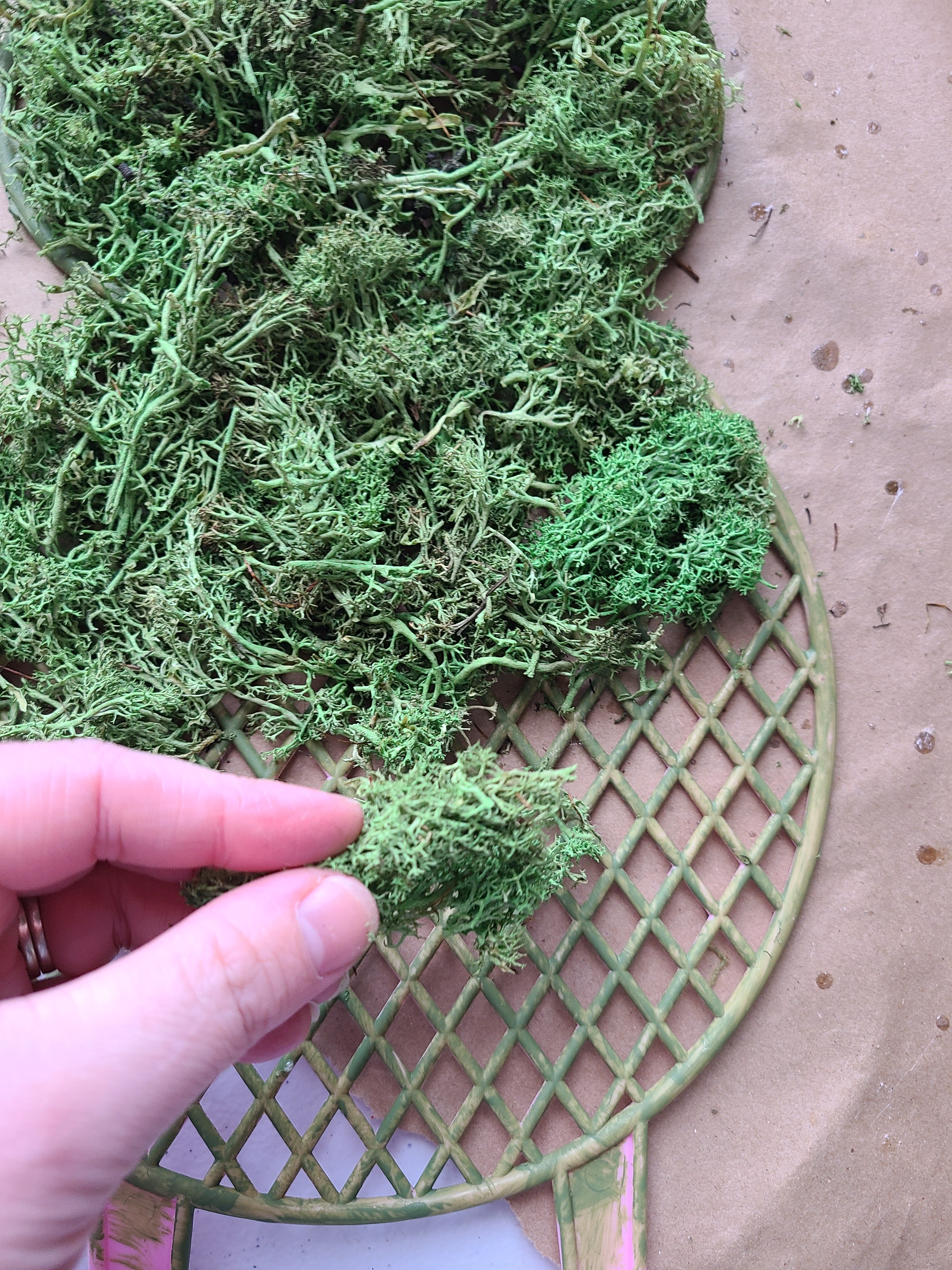 Adding green reindeer moss to the plastic bunny frame.