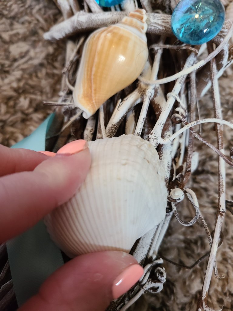 White seashell being held down on the grapevine beach wreath.