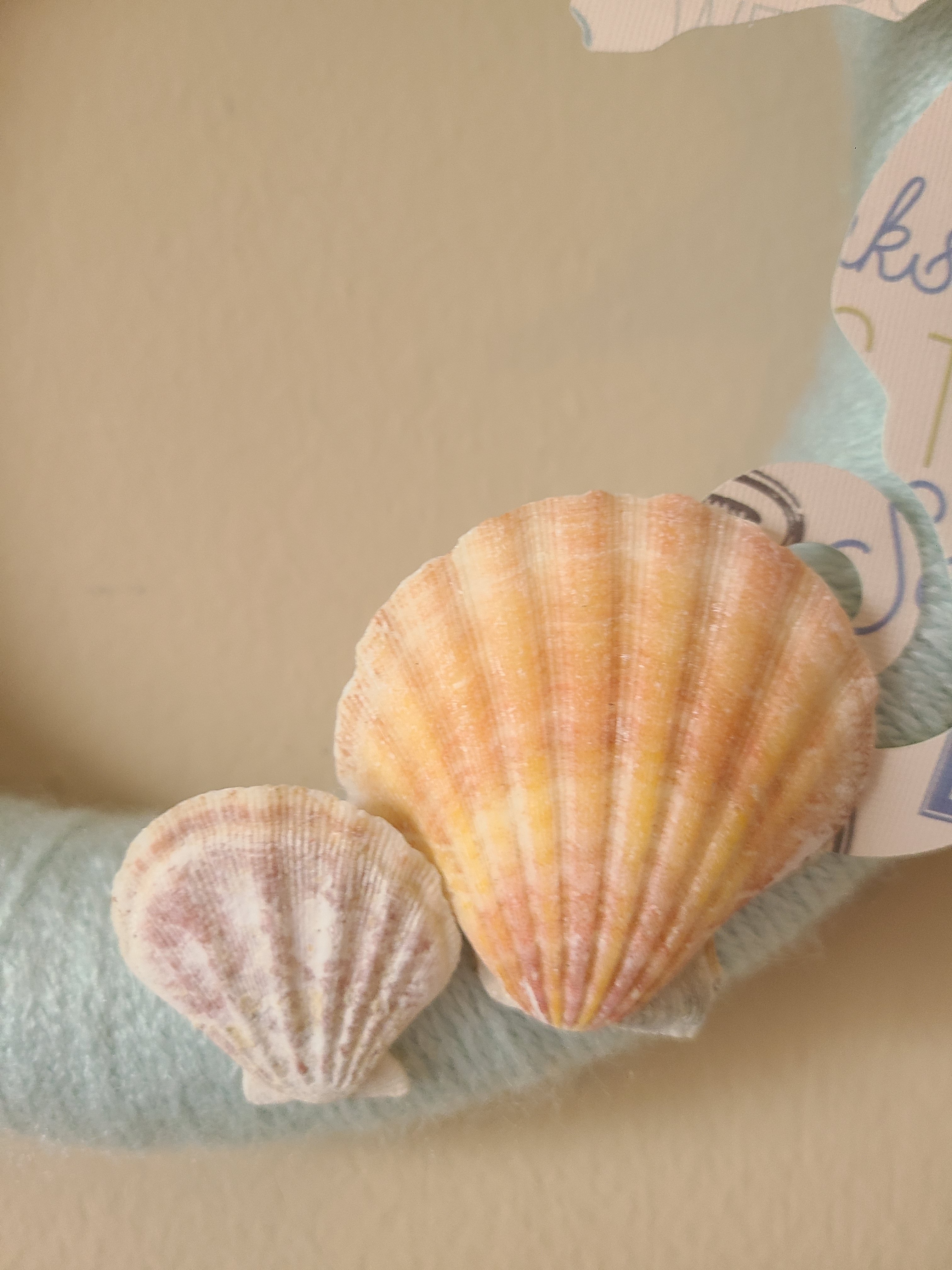 Two seashells glued next to the seahorse at the bottom of the beach yarn wreath.