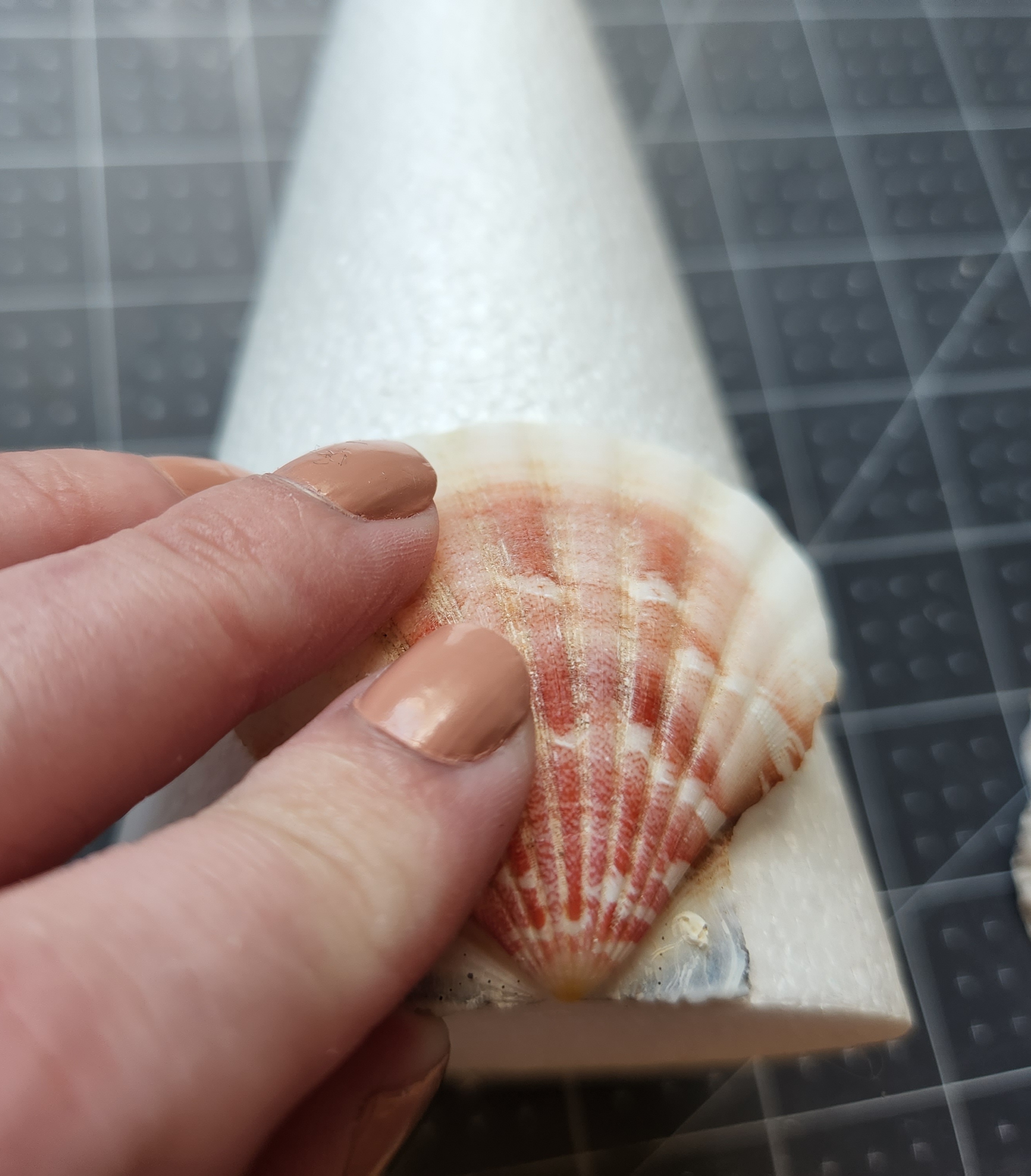Placing the seashell with hot glue on the back onto the styrofoam cone.