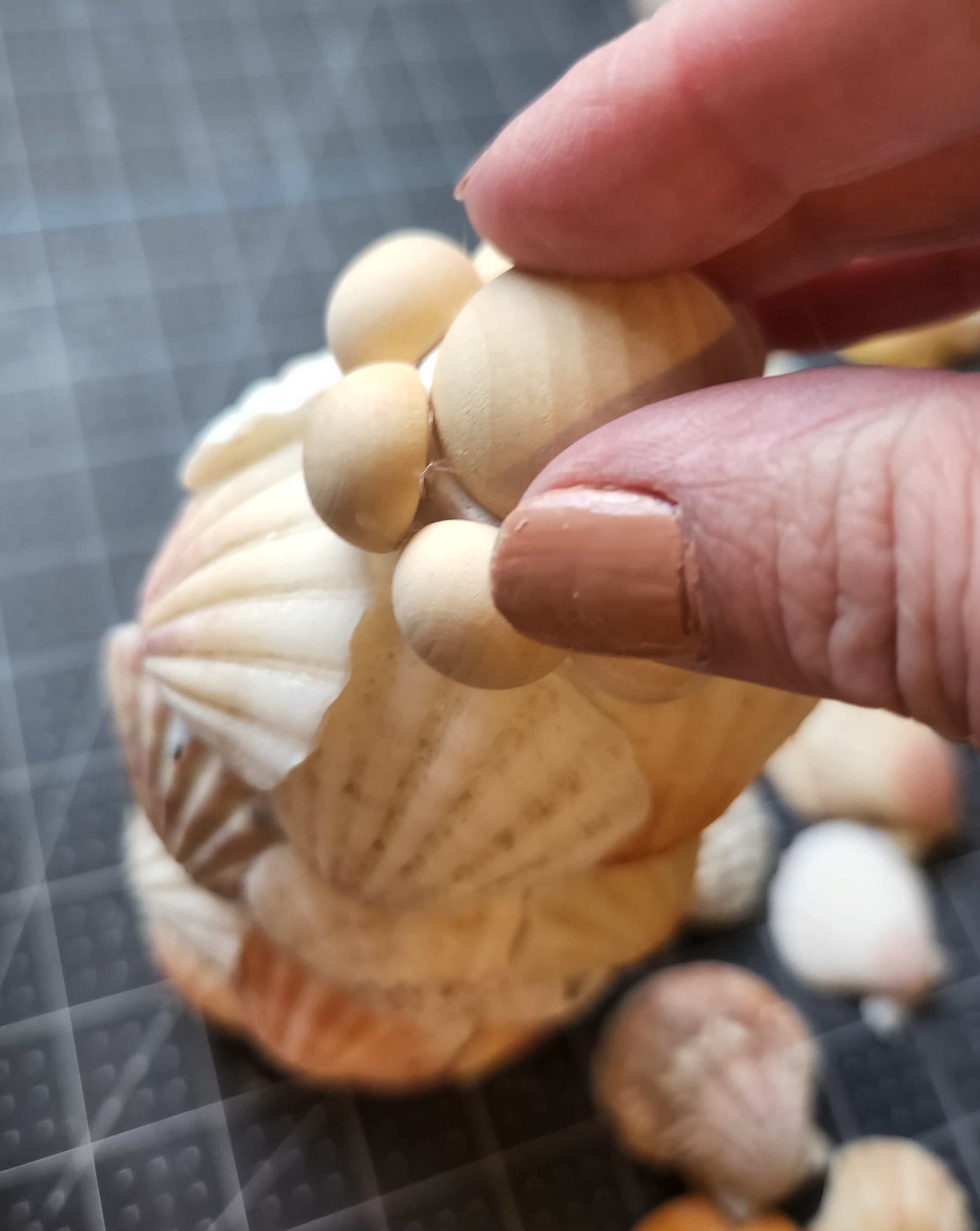 Putting a 20mm half wood bead to the top of the seashell Christmas tree.