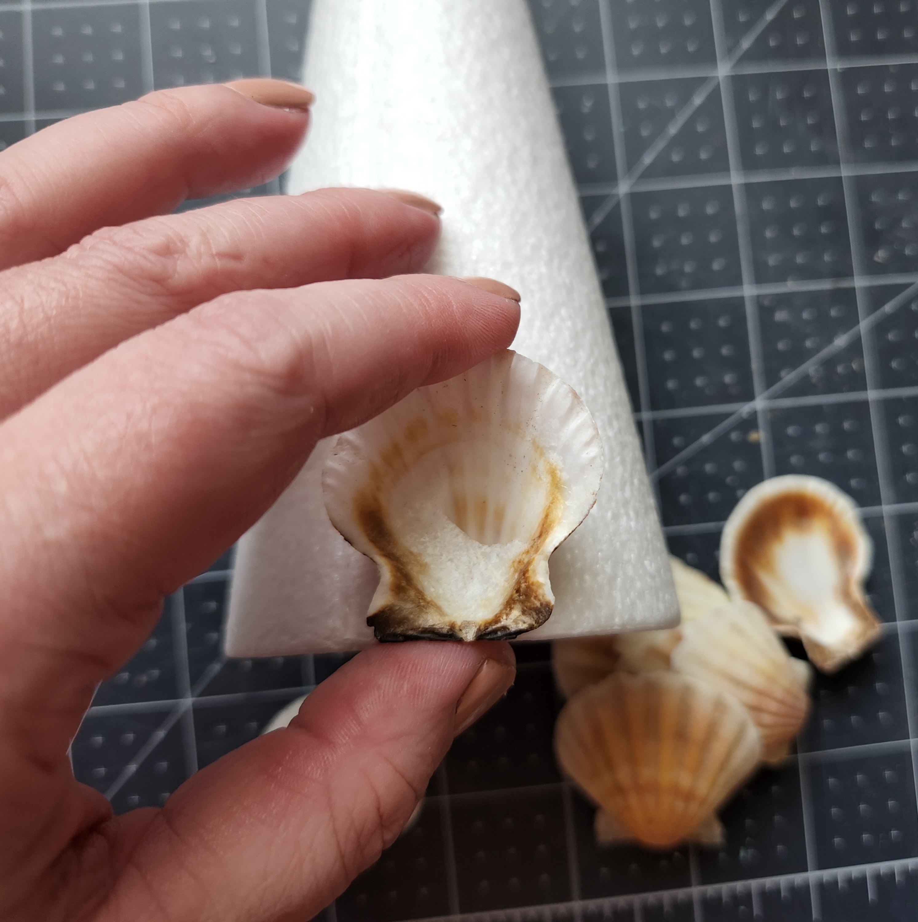 Placing a seashell on the bottom of the styrofoam tree with the inner side facing out.