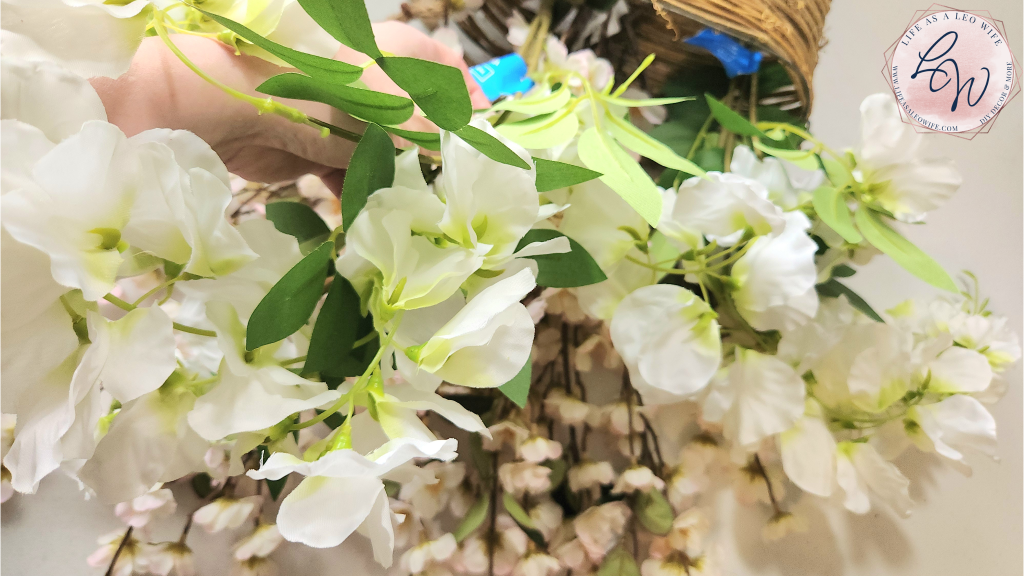 Placing a wisteria bush into the door basket.