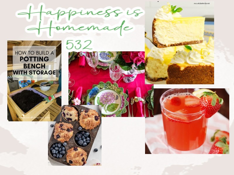 Happiness is Homemade #532